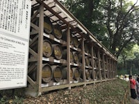 a row of wooden barrels in a wooded area